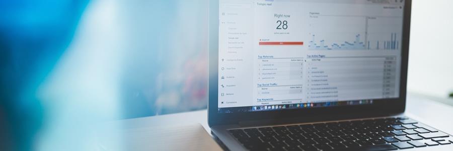 digital media advisor